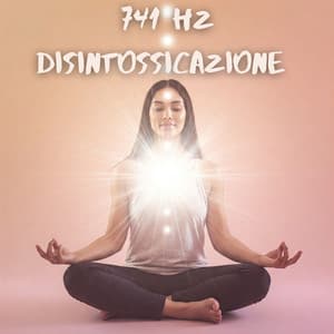 741 Hz Musica di Disintossicazione: Terapia del Suono per la Purificazione dell'Energia Spirituale e la Guarigione Profonda - Anna Benessere