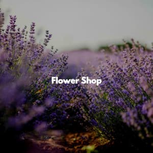 Flower Shop - Jazz Lounge Bar Ambiance