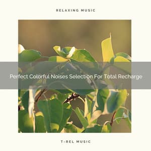 Perfect Colorful Noises Selection For Total Recharge - Sleep Noise