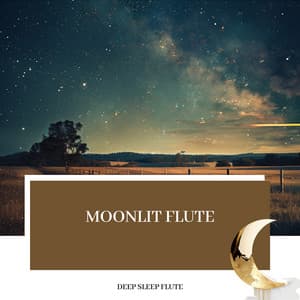 Moonlit Flute: Soothing Nighttime Serenity - Deep Sleep Flute