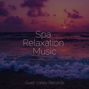 Spa Relaxation Music - Rain Sounds Collection