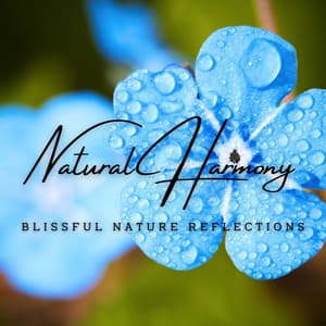 Natural Harmony: Meditative Melodies for Connecting with Nature - Tiki Kora