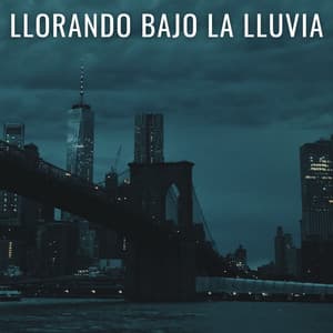 Llorando Bajo La Lluvia - Naturaleza y Lluvia