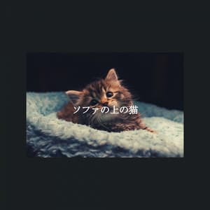 ソファの上の猫 - Morning Coffee Playlist