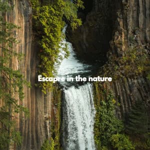 Escapre in the nature - Musica de Piano Clásicos