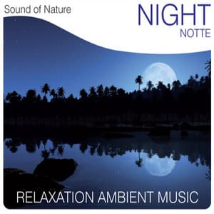Night - Sound of Nature Band