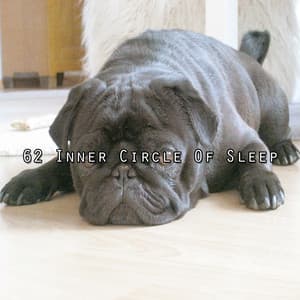 62 Inner Circle Of Sleep - Relaxing Sleep Music