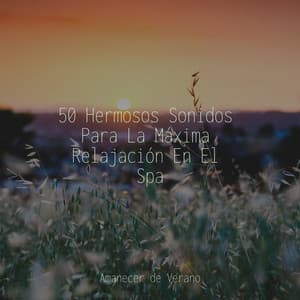 50 Hermosos Sonidos Para La Máxima Relajación En El Spa - Musica para Dormir 101