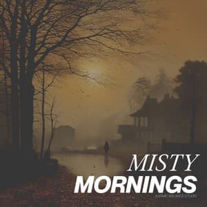 Misty Mornings - Japanese Meditation Music