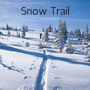 Snow Trail - Deep Rain Sampling