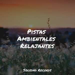 Pistas Ambientales Relajantes - Meditación