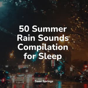 50 Summer Rain Sounds Compilation for Sleep - Rain Storm Sample Library