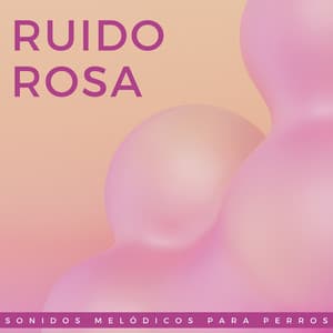 Ruido Rosa: Sonidos Melódicos Para Perros - Gerador de Ruído