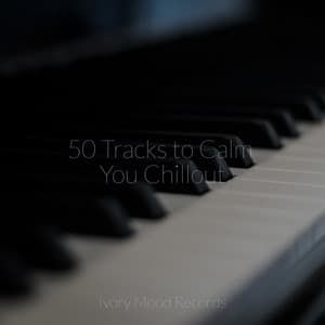 50 Tracks to Calm You Chillout - Ivory Mood