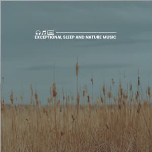 Exceptional Sleep and Nature Music - Nature Sounds Nature Music