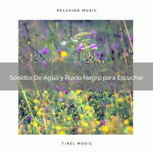 Sonidos De Agua y Ruido Negro para Escuchar - Ruido Blanco