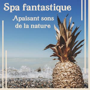 Spa fantastique: Apaisant sons de la nature - Musique relaxante de bain moussant, La guérison intérieure, Sensual spa se détendre - Bien-être Spa Musique Collection