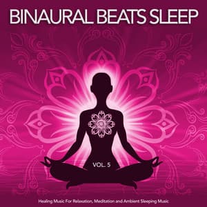 Binaural Beats Sleep: Healing Music For Relaxation, Meditation and Ambient Sleeping Music, Vol. 5 - Binaural Beats