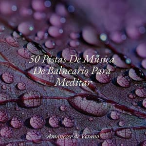 50 Pistas De Música De Balneario Para Meditar - Piano Suave Relajante