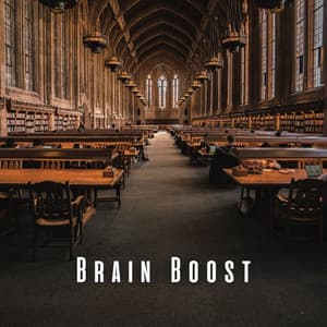 Brain Boost: Chill Music for Study Nights - Isochronic Tones Brainwave Entrainment