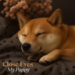 Close Eyes My Puppy - Sleepy Doggy