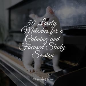 50 Best Calming Musical Collection - Concentration Music Ensemble