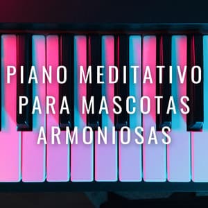 Huellas Serenas: Piano Meditativo Para Mascotas Armoniosas - Colección Piano Jazz