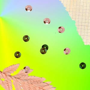 Serene Music for Wild Zones - Acoustic and Electric Piano Duo - Klaviermusik