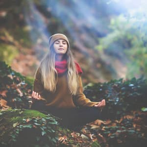 Nature Calm Showers: Chill Rain Melodies for Tranquil Meditation - Rainfall Meditations