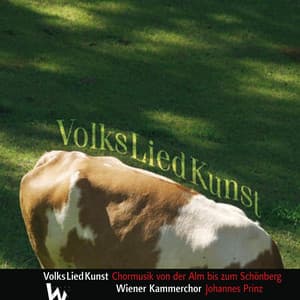 VolksLiedKunst - Vienna Chamber Choir