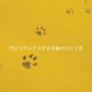 犬とリラックスする午後のひととき - Chill Lounge