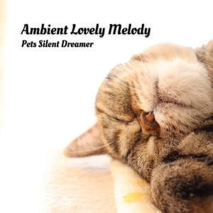 Ambient Lovely Melody: Pets Silent Dreamer - Pet Care Music Therapy
