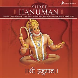 Shree Hanuman - Shounak Abhisheki