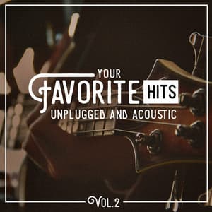 Your Favorite Hits Unplugged and Acoustic, Vol. 2 - Acoustic Hits