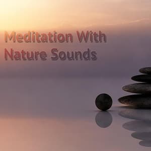 Meditation With Nature Sounds - Meditación Musical