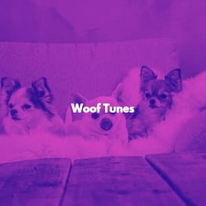 Woof Tunes - Dog Calming Music