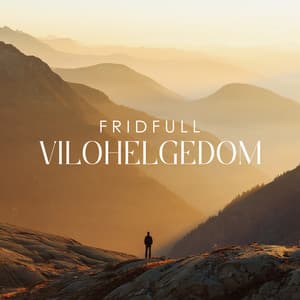 Fridfull Vilohelgedom - Quiet Music Oasis