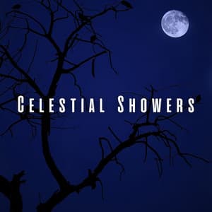 Celestial Showers: Sleep Sounds of Heavy Rain and Birds - Soft Water Streams Sounds