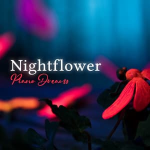 Nightflower - PianoDreams