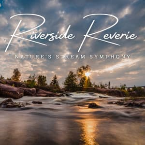 Riverside Reverie: Nature's Stream Symphony - Pinetree Way