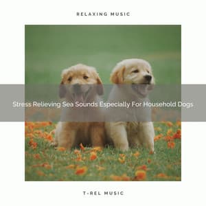 Stress Relieving Sea Sounds Especially For Household Dogs - Dog Total Relax