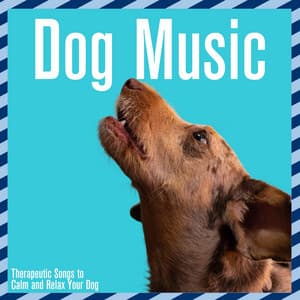 Dog Music: Therapeutic Songs to Calm and Relax Your Dog - Dog Music
