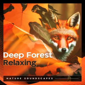 Deep Forest Relaxing - The Nature Soundscapes