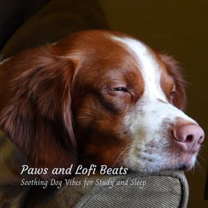 Paws & Lofi Beats: Soothing Dog Vibes for Study & Sleep - Lofi Hip-Hop Beats