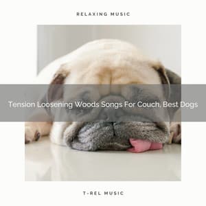 Tension Loosening Woods Songs For Couch, Best Dogs - Pets Total Relax