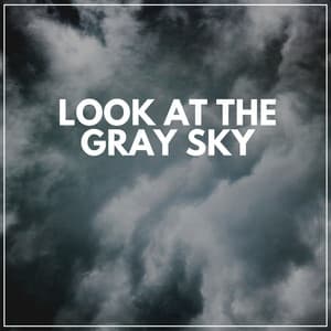 Look At the Gray Sky - Natsound