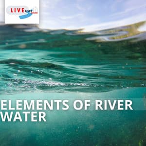 Elements of River Water - Life River Sound