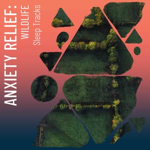 !!! Anxiety Relief: Wildlife Sleep Tracks !!! - Mother Nature Sound FX