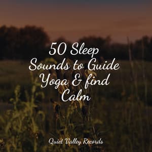 50 Sleep Sounds to Guide Yoga & find Calm - 125 Nature Sounds