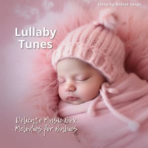 Lullaby Tunes: Delicate Music Box Melodies for Babies - Sleeping Babies Songs